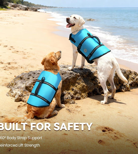 Rip Stop Dog Life Vest, Swimming Vest with Handle, Buoyancy for Doggy Puppy, Dog Life Jacket for Swimming & Boating, M, Blue