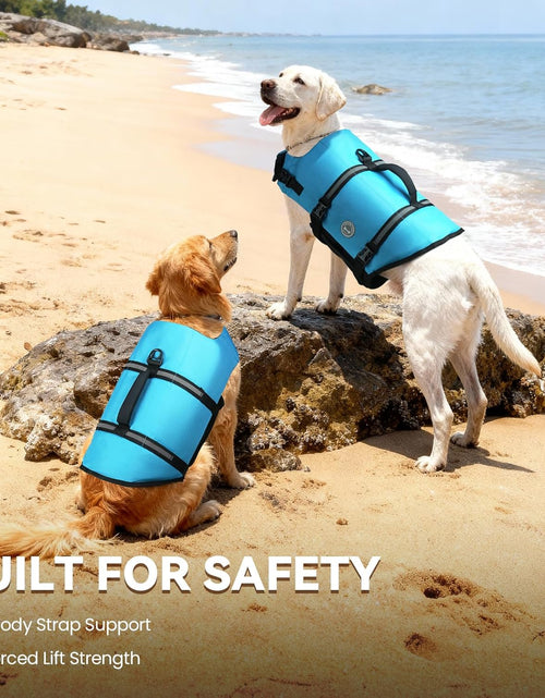 Load image into Gallery viewer, Rip Stop Dog Life Vest, Swimming Vest with Handle, Buoyancy for Doggy Puppy, Dog Life Jacket for Swimming &amp; Boating, M, Blue
