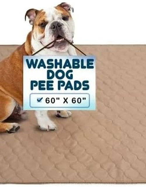 Load image into Gallery viewer, Pee Pads for Dogs - Dog &amp; Puppy Training Pads - Rounded Corners - Washable, Reusable - Laminated, Waterproof, Sanitary Potty Protector Dog Mat - Pet Essentials
