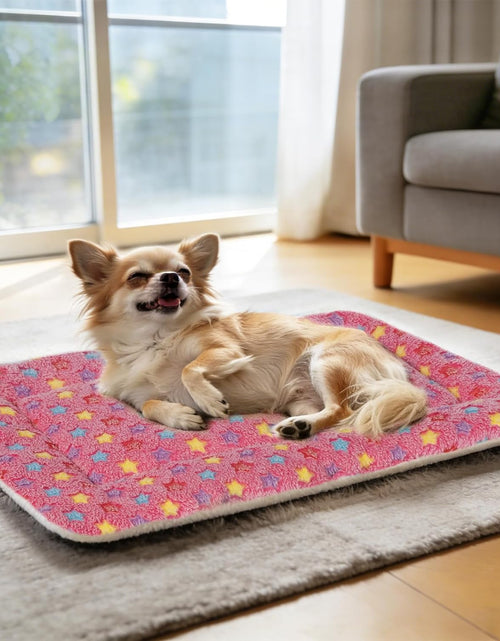 Load image into Gallery viewer, Dog Bed Crate Pad Ultra Soft Pet Bed with Cute Star Print Washable Crate Mat for Large Medium Small Dogs Reversible Fleece Dog Crate Kennel Mat Cat Bed Liner 29 X 21 Inch Pink
