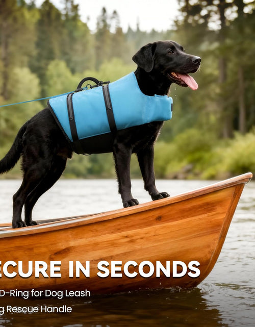 Load image into Gallery viewer, Rip Stop Dog Life Vest, Swimming Vest with Handle, Buoyancy for Doggy Puppy, Dog Life Jacket for Swimming &amp; Boating, M, Blue
