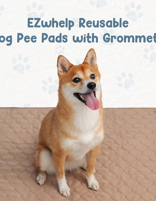 Load image into Gallery viewer, Pee Pads for Dogs - Dog &amp; Puppy Training Pads - Rounded Corners - Washable, Reusable - Laminated, Waterproof, Sanitary Potty Protector Dog Mat - Pet Essentials
