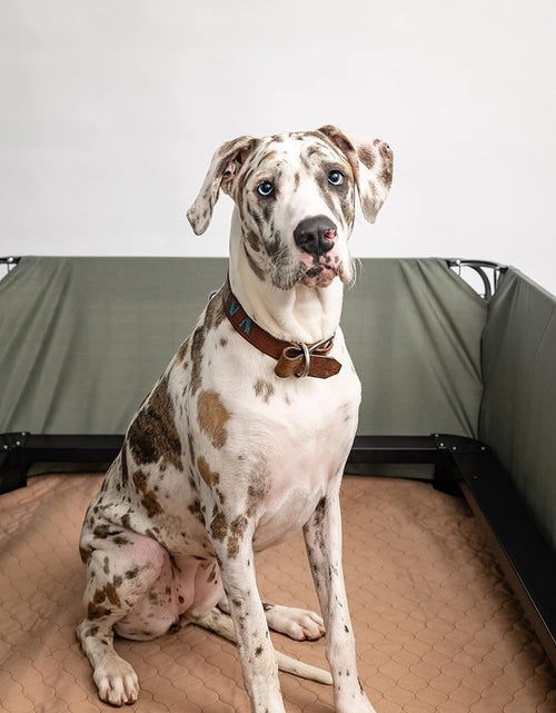 Load image into Gallery viewer, Pee Pads for Dogs - Dog &amp; Puppy Training Pads - Rounded Corners - Washable, Reusable - Laminated, Waterproof, Sanitary Potty Protector Dog Mat - Pet Essentials
