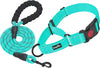 Turquoise, Martingale Collar+Leash