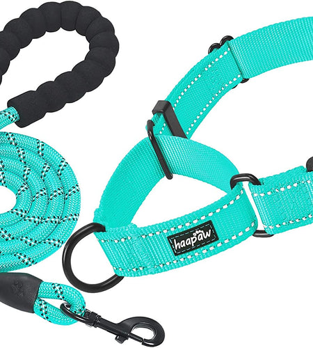 2 Packs Martingale Dog Collar with Quick Release Buckle Reflective Dog Training Collars for Small Medium Large Dogs