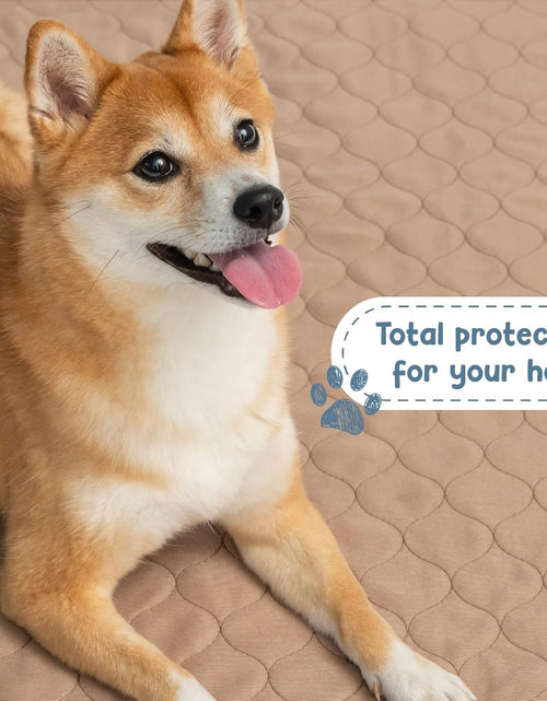 Load image into Gallery viewer, Pee Pads for Dogs - Dog &amp; Puppy Training Pads - Rounded Corners - Washable, Reusable - Laminated, Waterproof, Sanitary Potty Protector Dog Mat - Pet Essentials
