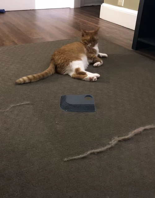 Load image into Gallery viewer, FurSweep Pro – Car Interior Hair Removal Brush &amp; Cleaning Scraper Tool
